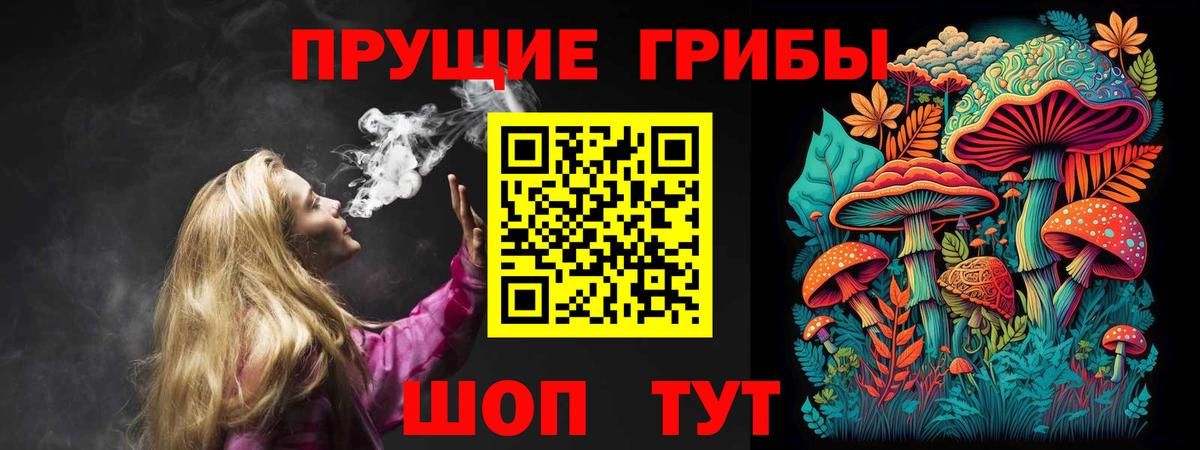 Губкин  Галлюциногенные грибы прущие грибы  Вход с VPN 